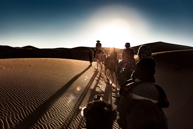 Sur la piste des nomades : immersion dans les déserts
