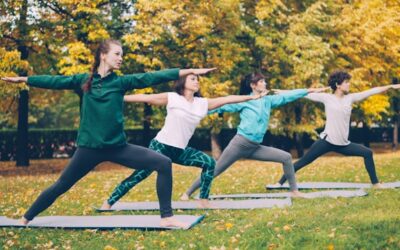 Piloxing dévoilé