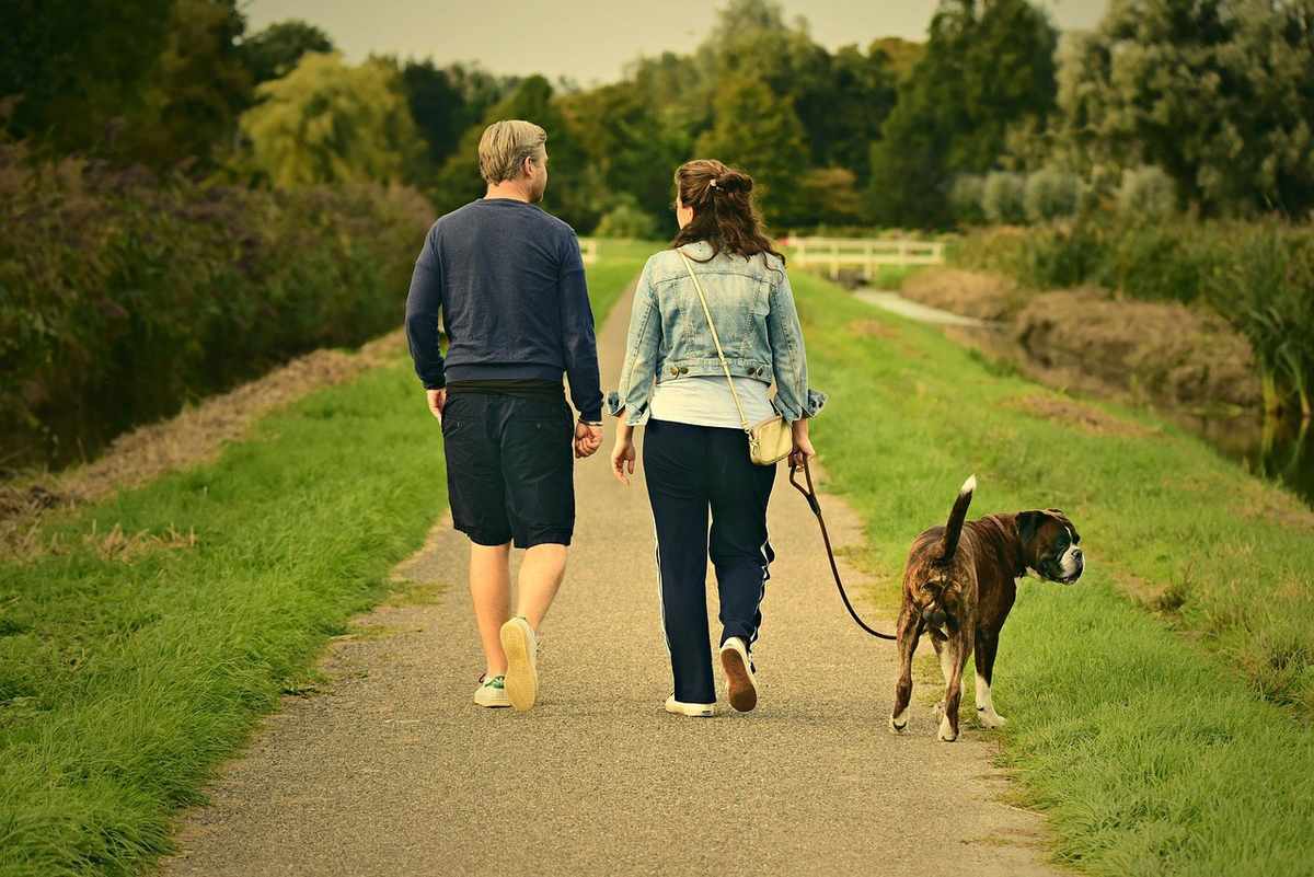 Couple et chien en promenade sur un chemin verdoyant Couple et chien en promenade sur un chemin verdoyant