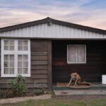 Chien repose sur le porche d'une petite cabane en bois