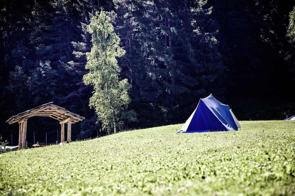 Tente bleue sur une colline herbeuse, abri en bois à gauche, forêt dense en arrière-plan Tente bleue sur une colline herbeuse, abri en bois à gauche, forêt dense en arrière-plan